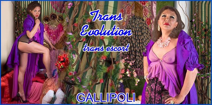 Trans Evolution Trans Evolution