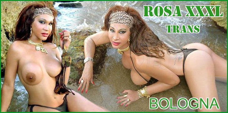 Rosa Xxxl trans a Bologna Rosa Xxxl trans a Bologna