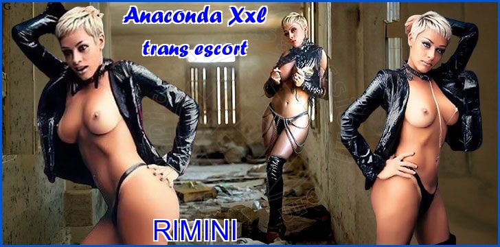Anaconda Xxl trans escort a Rimini Anaconda Xxl trans escort a Rimini
