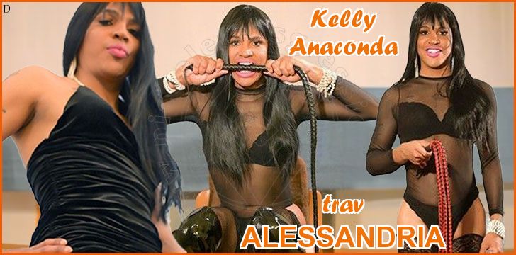 Kelly Anaconda Kelly Anaconda