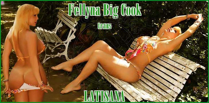 Fellyna Big Cook Big Cook Fellyna Big Cook Big Cook