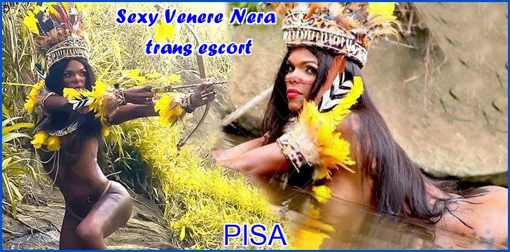 Sexy Venere Nera trans escort a Pisa Sexy Venere Nera trans escort a Pisa