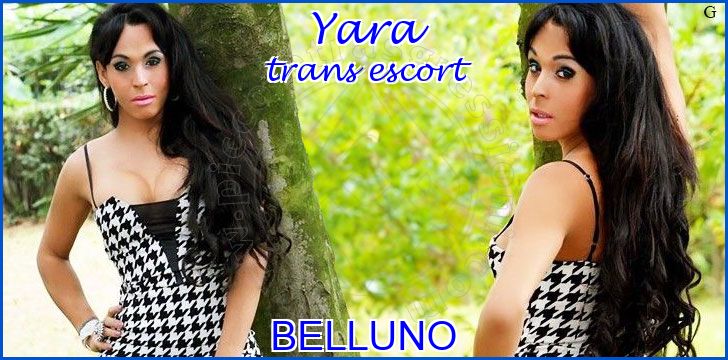 Yara trans escort a Belluno Yara trans escort a Belluno