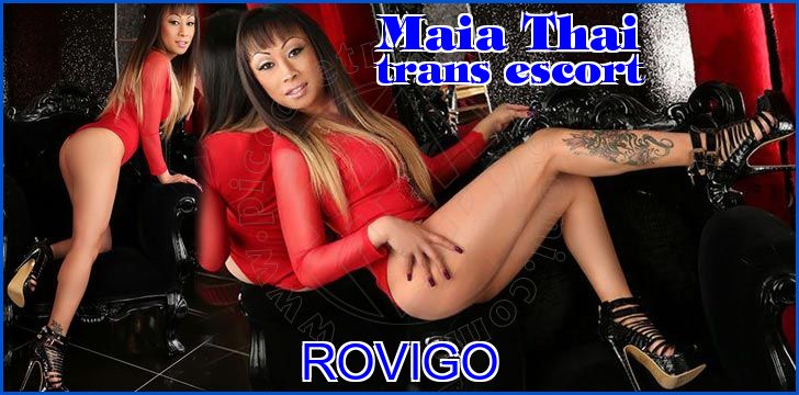 Maia Thai trans escort a Rovigo Maia Thai trans escort a Rovigo