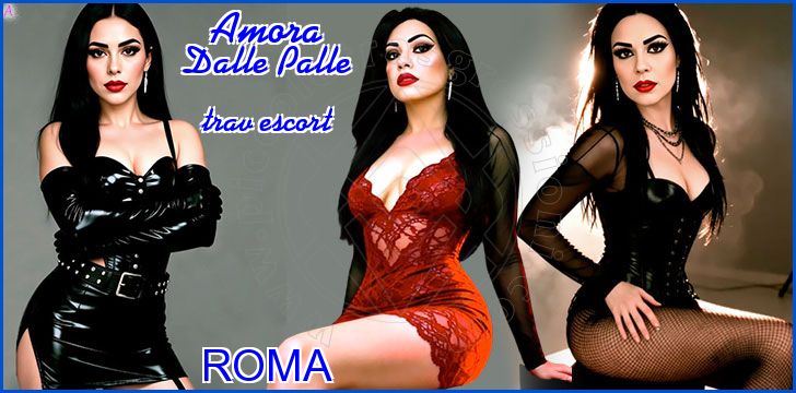Amora Dalle Palle Amora Dalle Palle