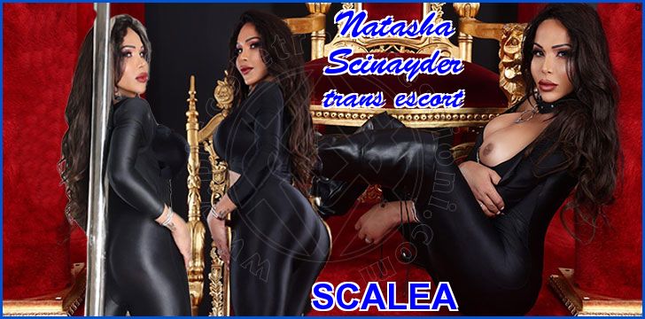 Natasha Scinayder Natasha Scinayder