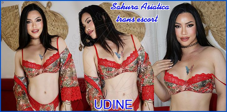 Sakura Asiatica trans escort a Udine Sakura Asiatica trans escort a Udine