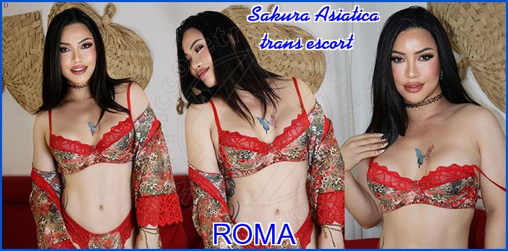 Sakura Asiatica trans escort a Roma Sakura Asiatica trans escort a Roma