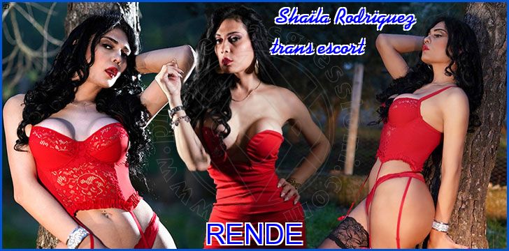 Shaila Rodriguez trans escort a Rende Shaila Rodriguez trans escort a Rende