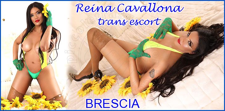 Reina Cavallona trans escort a Brescia Reina Cavallona trans escort a Brescia