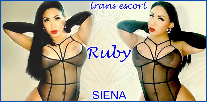 Ruby trans escort a Siena Ruby trans escort a Siena