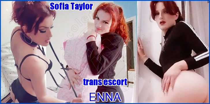 Sofia Taylor Sofia Taylor