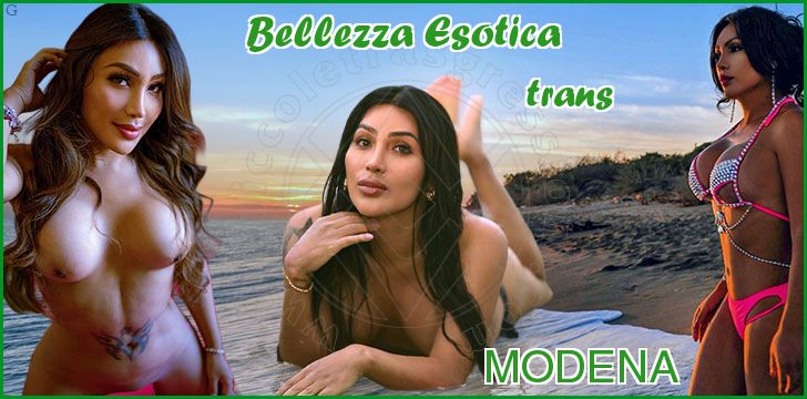 Bellezza Esotica trans a Modena Bellezza Esotica trans a Modena