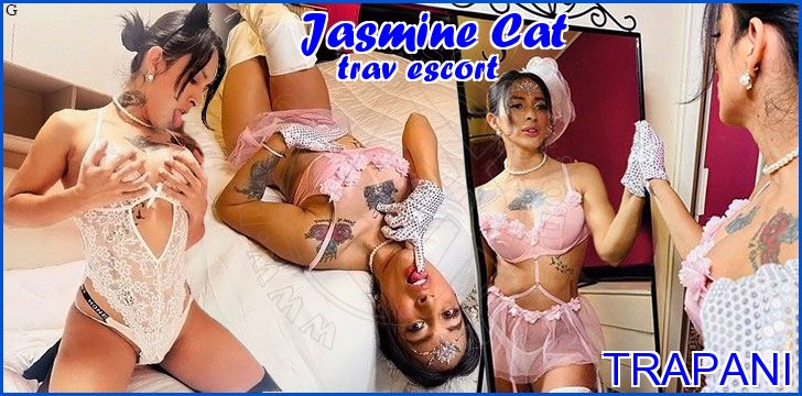 Jasmine Cat Jasmine Cat