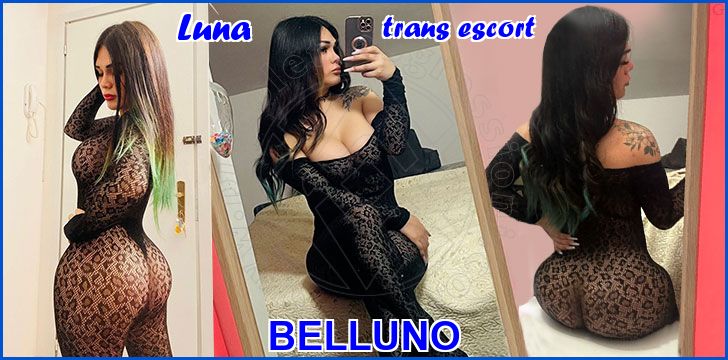 Luna trans escort a Belluno Luna trans escort a Belluno