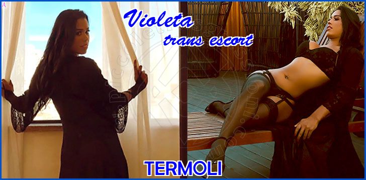 Violeta Violeta