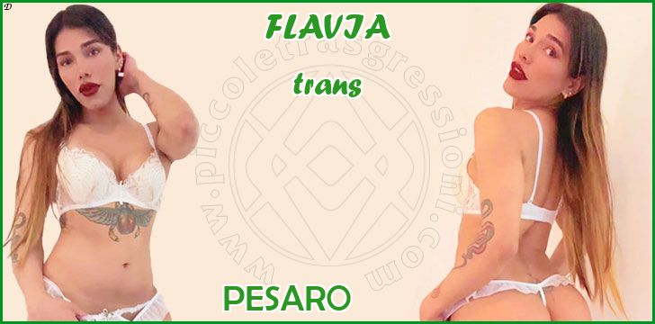 FLAVIA trans a Pesaro FLAVIA trans a Pesaro