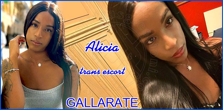 Alicia trans escort a Gallarate Alicia trans escort a Gallarate
