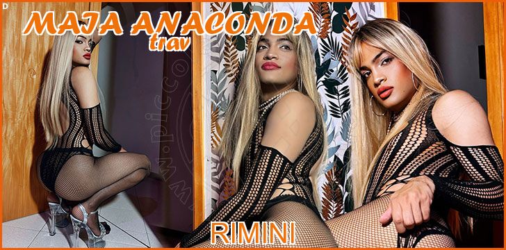 Maia Anaconda Maia Anaconda