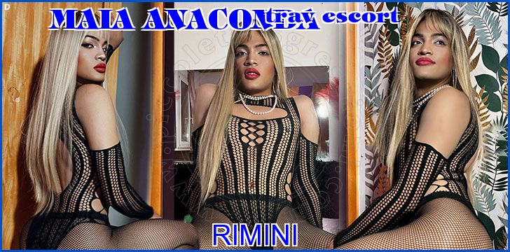 Maia Anaconda Maia Anaconda