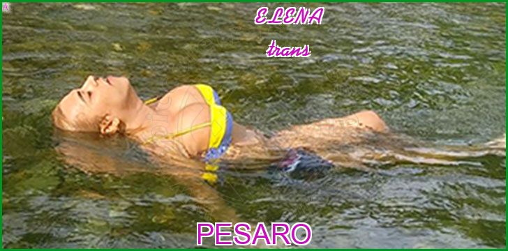 ELENA trans a Pesaro ELENA trans a Pesaro