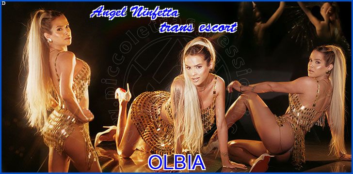 Angel Ninfetta Angel Ninfetta