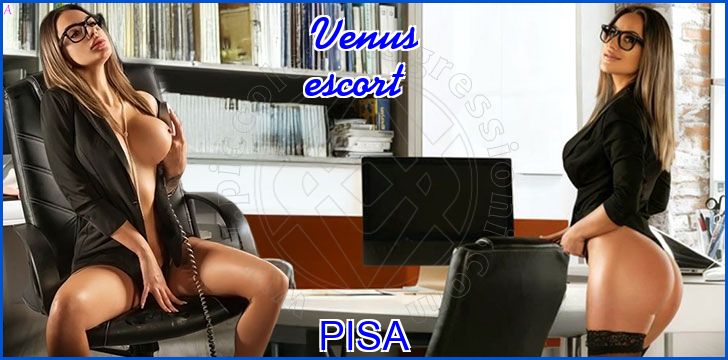 Venus escort a Pisa Venus escort a Pisa