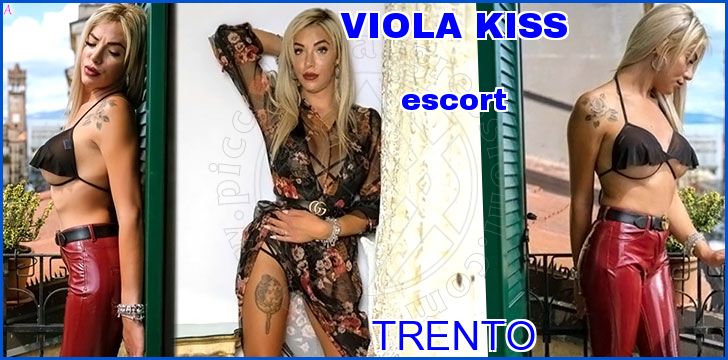 VIOLA KISS escort a Trento VIOLA KISS escort a Trento