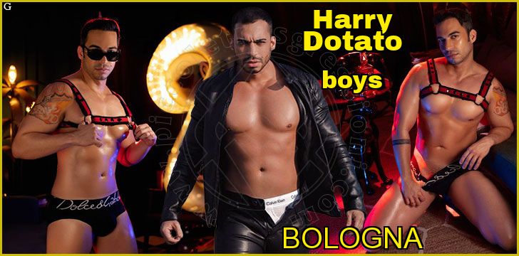 Harry Dotato boys a Bologna Harry Dotato boys a Bologna