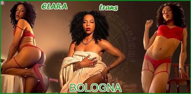 ELARA trans a Bologna ELARA trans a Bologna