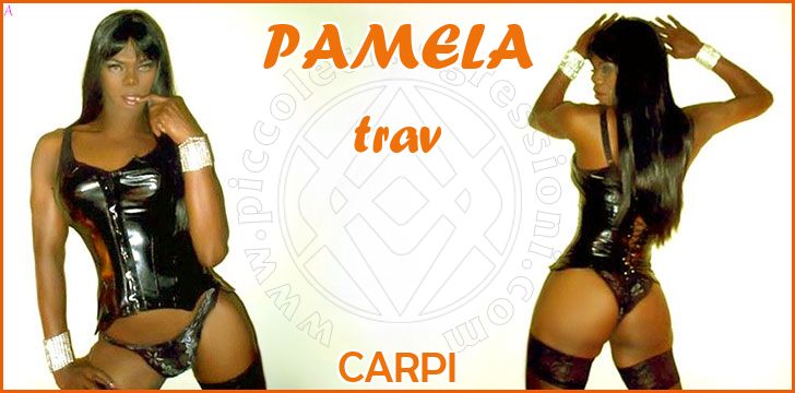 PAMELA trav a Carpi PAMELA trav a Carpi