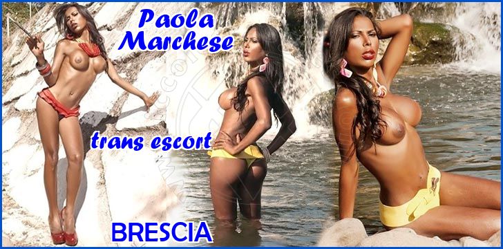 Paola Marchese