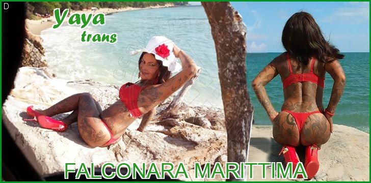 Yaya trans a Falconara Marittima