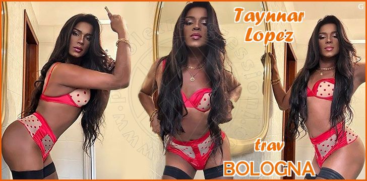 Taynnar Lopez