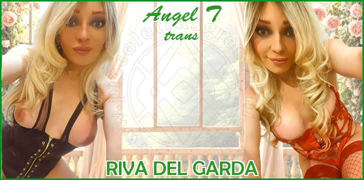 Angel T