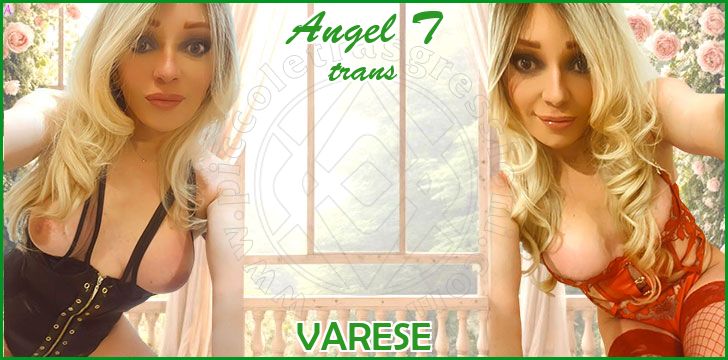 Angel T