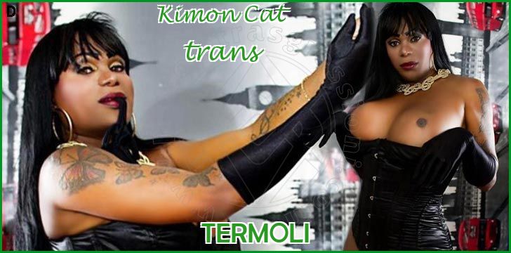 Kimon Cat Cat trans a Termoli