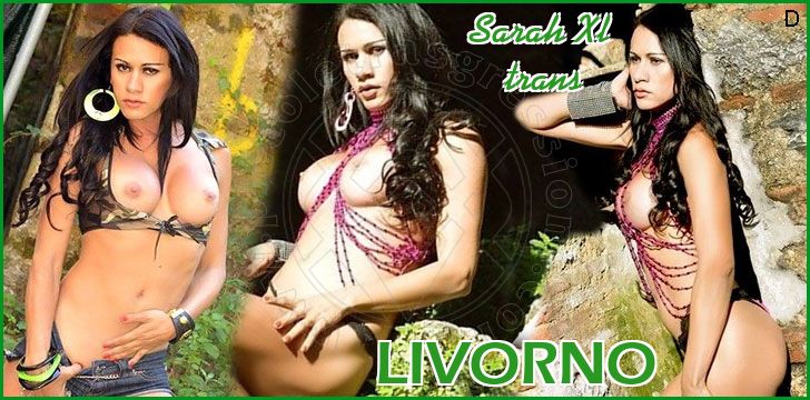 Sarah Xl trans a Livorno