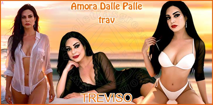 Amora Dalle Palle trav a Treviso