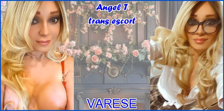 Angel T