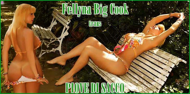 Fellyna Big Cook Big Cook