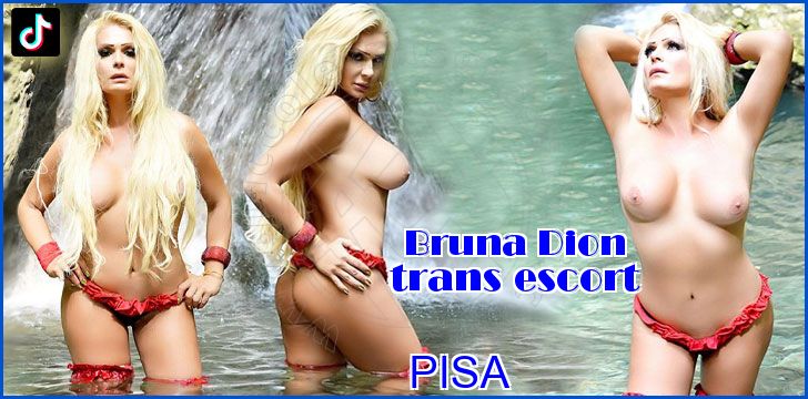Bruna Dion trans escort a Pisa