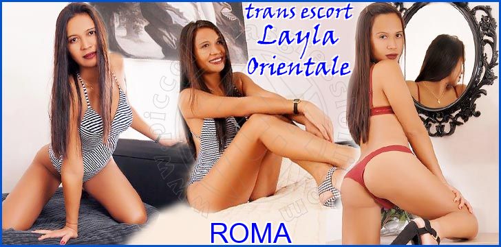 Layla Orientale trans escort a Roma