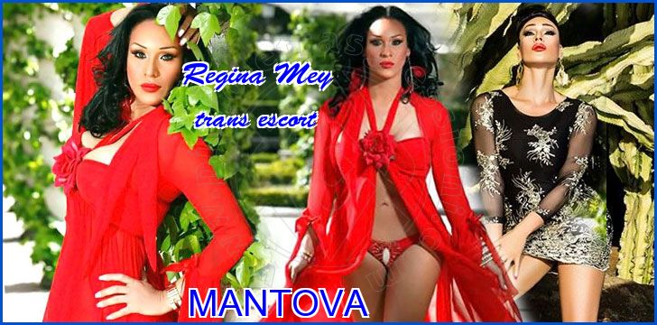 Regina Mey