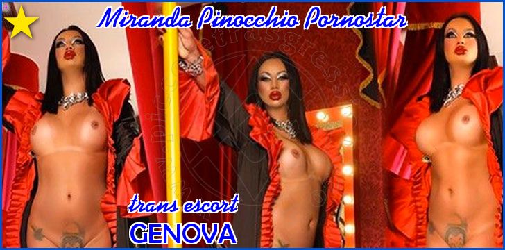 Miranda Pinocchio Pornostar