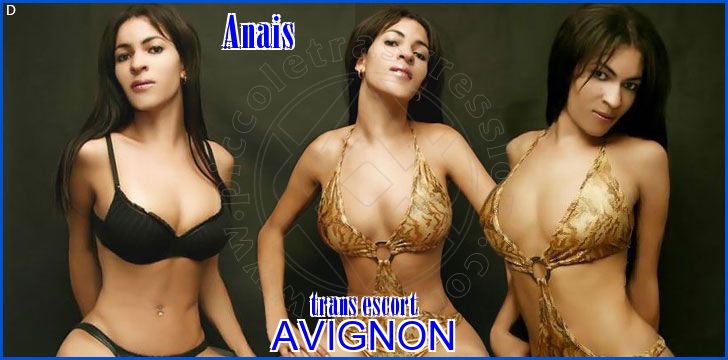 Anais trans escort a Avignone