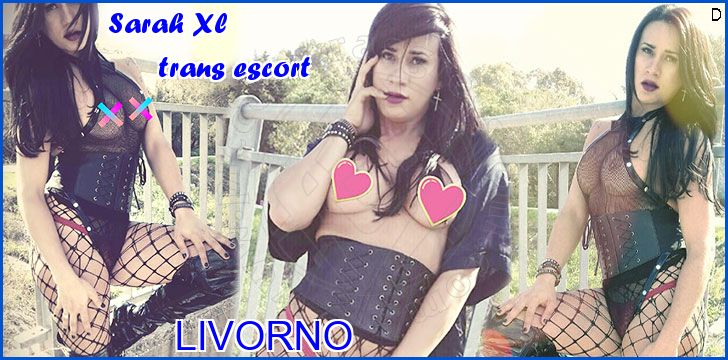 Sarah Xl trans escort a Livorno
