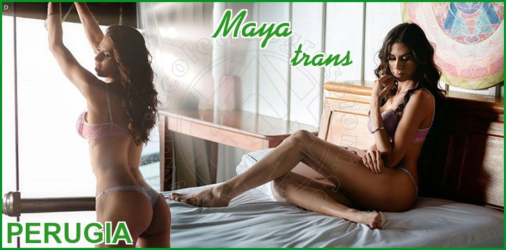 Maya trans a Perugia