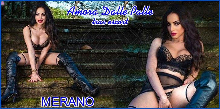 Amora Dalle Palle