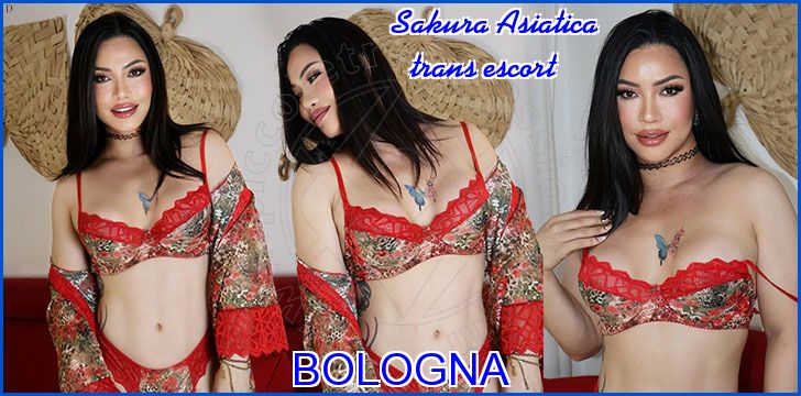 Sakura Asiatica trans escort a Bologna